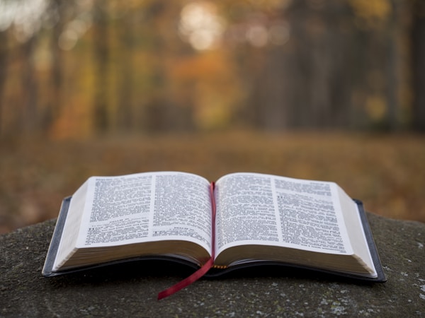 Mi Biblia
